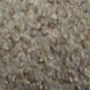 Meet your Posher, Andy